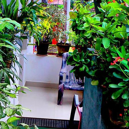 Safari Horizon Udawalawe Bed & Breakfast Екстериор снимка