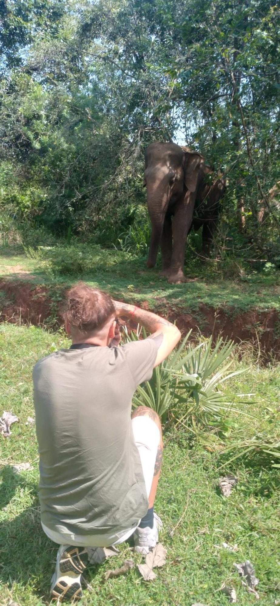 Safari Horizon Udawalawe Bed & Breakfast Екстериор снимка