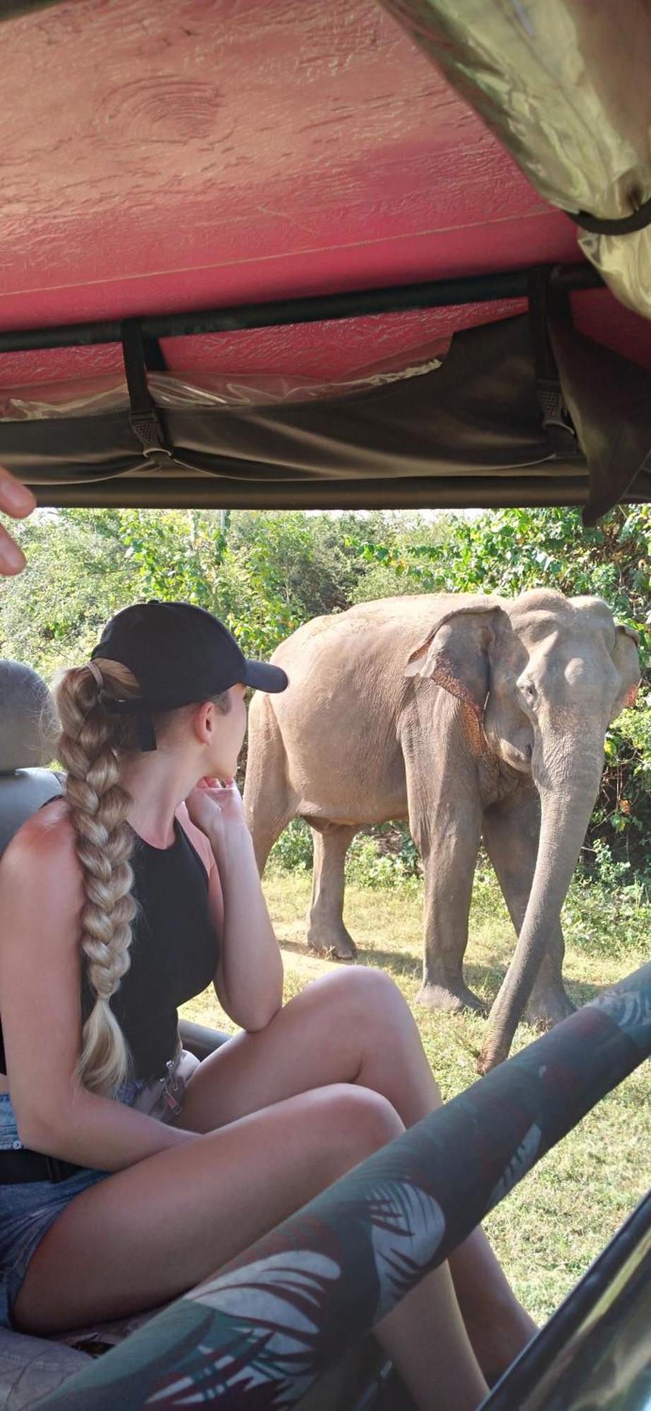 Safari Horizon Udawalawe Bed & Breakfast Екстериор снимка