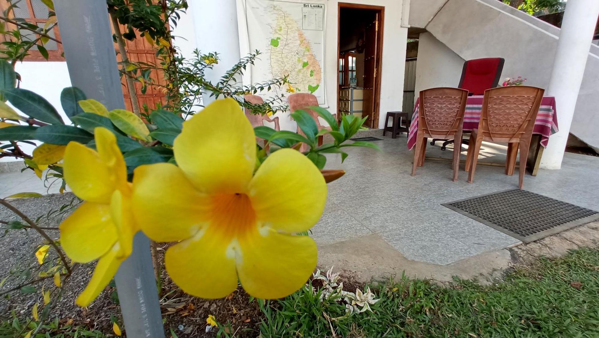 Safari Horizon Udawalawe Bed & Breakfast Екстериор снимка